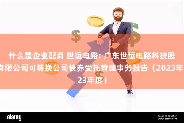 什么是企业配资 世运电路: 广东世运电路科技股份有限公司可转换公司债券受托管理事务报告（2023年度）