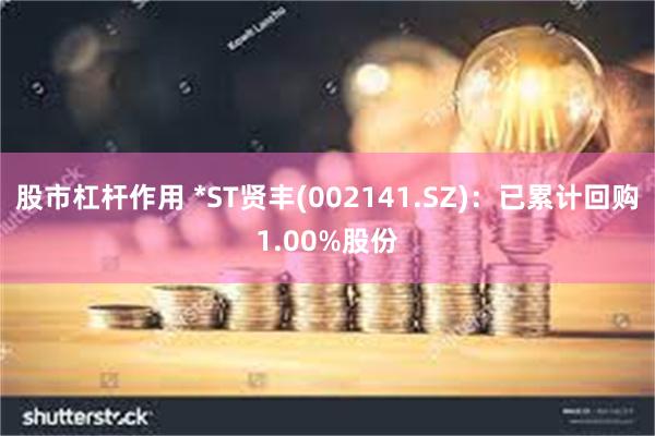 股市杠杆作用 *ST贤丰(002141.SZ)：已累计回购1.00%股份