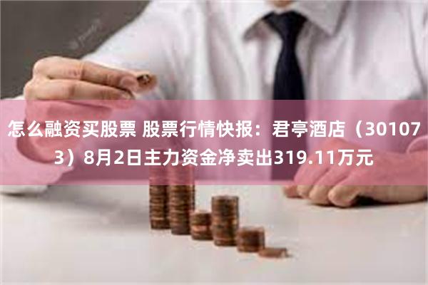 怎么融资买股票 股票行情快报：君亭酒店（301073）8月2日主力资金净卖出319.11万元