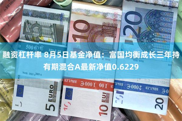 融资杠杆率 8月5日基金净值：富国均衡成长三年持有期混合A最新净值0.6229