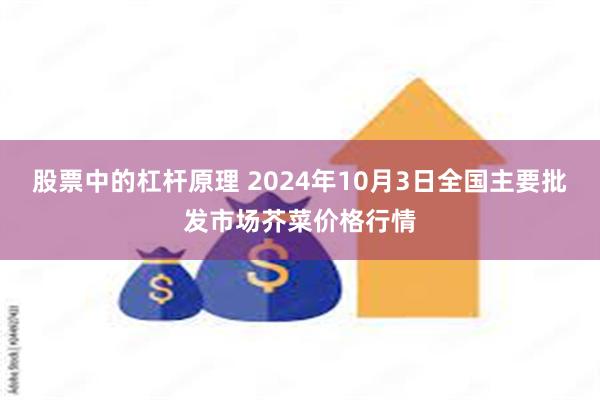 股票中的杠杆原理 2024年10月3日全国主要批发市场芥菜价格行情