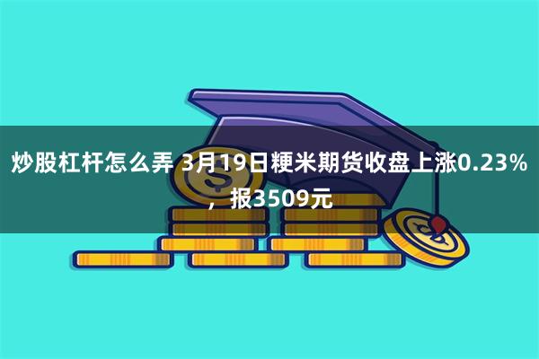 炒股杠杆怎么弄 3月19日粳米期货收盘上涨0.23%，报3509元